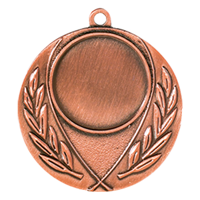 Медаль 090.01 бронза Д45мм